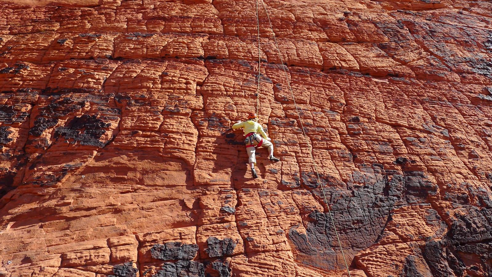 top rope rock climbing in Red Rock